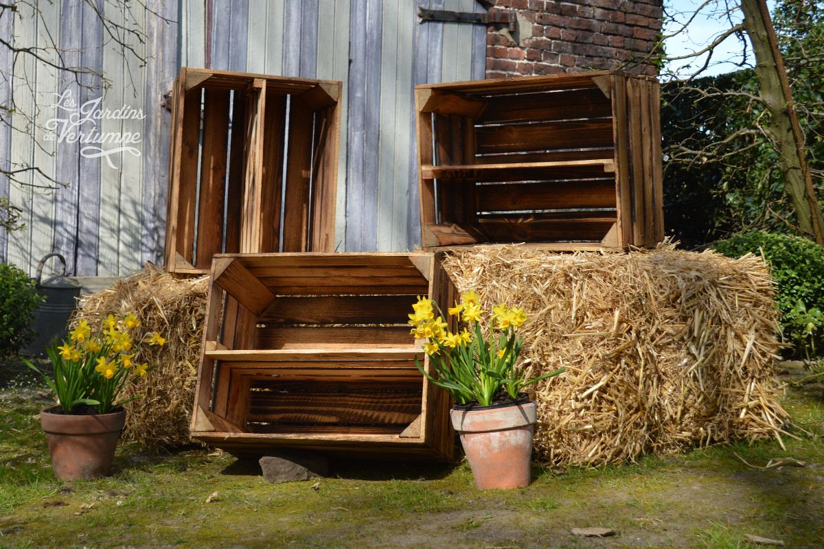 Caisse de Pommes en Bois Vintage