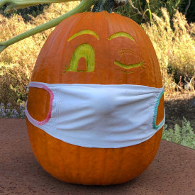 Courges masquées en fête