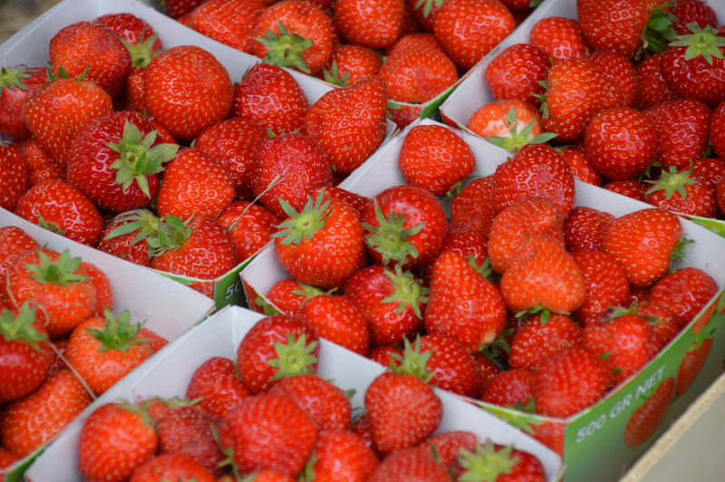 Fraises